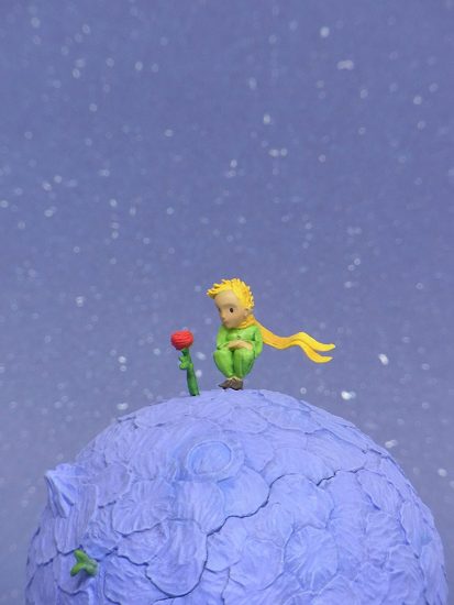 ラブリー壁紙 星の王子さま 最高の花の画像